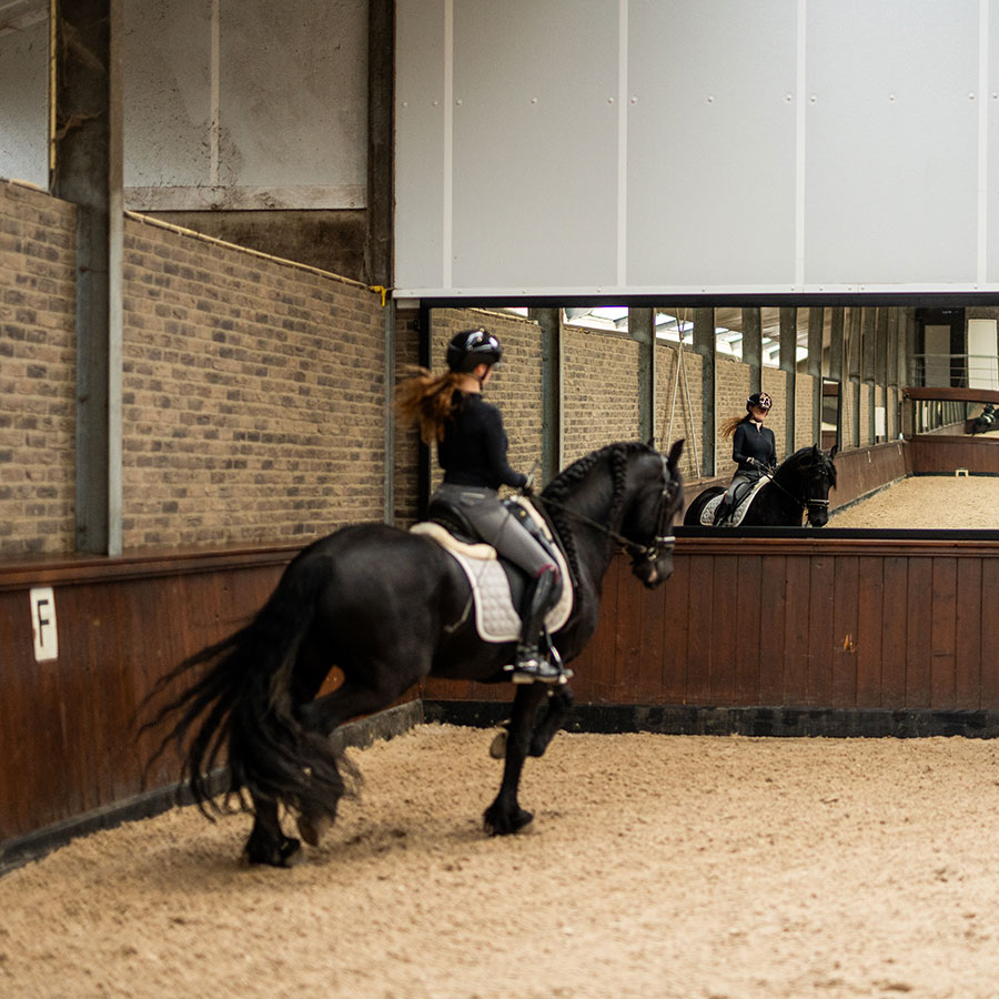 Manegespiegel voor binnenbak – Easy Fix Supersafe 510 cm - Afbeelding 2
