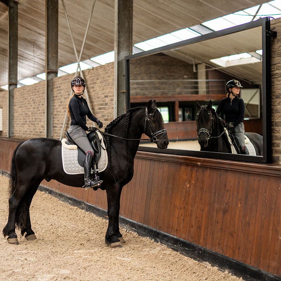 Manegespiegel voor binnenbak – Easy Fix Supersafe 510 cm - Afbeelding 6